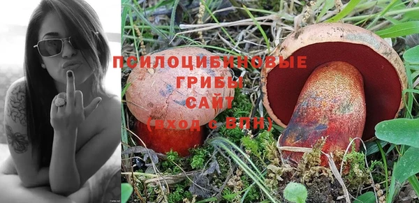 соль ск Абдулино