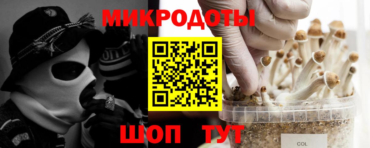 Псилоцибиновые грибы ЛСД Тейково