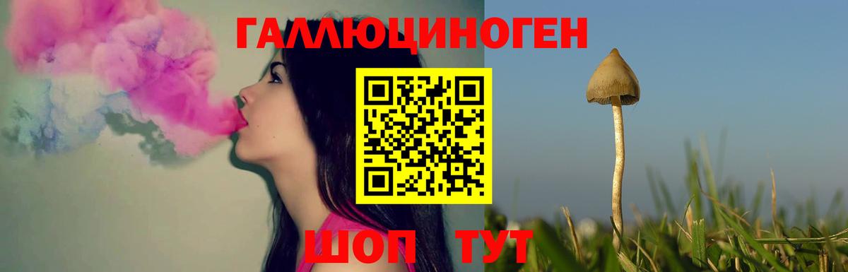 Галлюциногенные грибы мухоморы  купить наркотики сайты  Галлюциногенные грибы Psilocybine cubensis  Тейково  Вход с VPN 